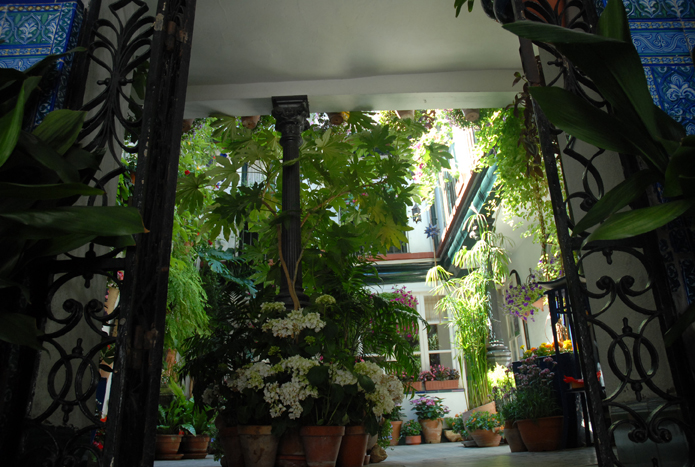 200705 patios y balcones01